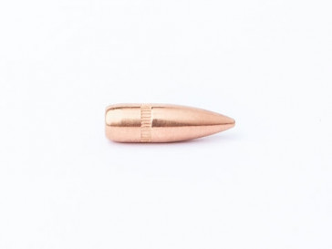 223 55 gr FMJ BT