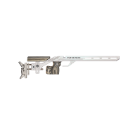 Tesro Smallbore Stock Evolution 10 PRO 